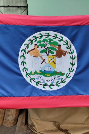 whatsapp image 2025 10 20 at 4.26.11 pm