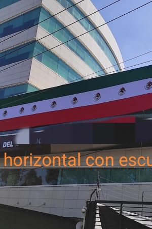 whatsapp image 2025 10 20 at 4.46.50 pm