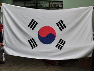 corea del sur 1.20x 2.10