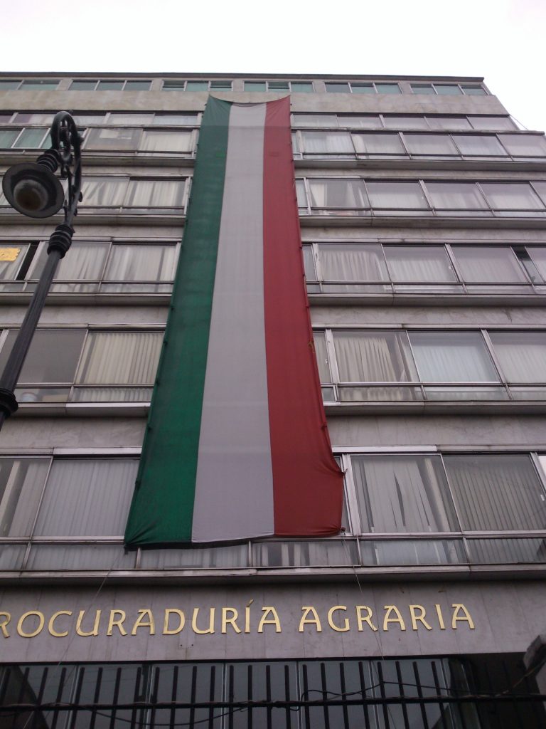 pendón tricolor 1